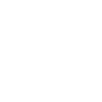 auto repair sarasota