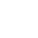 auto repair sarasota