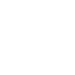 auto repair sarasota